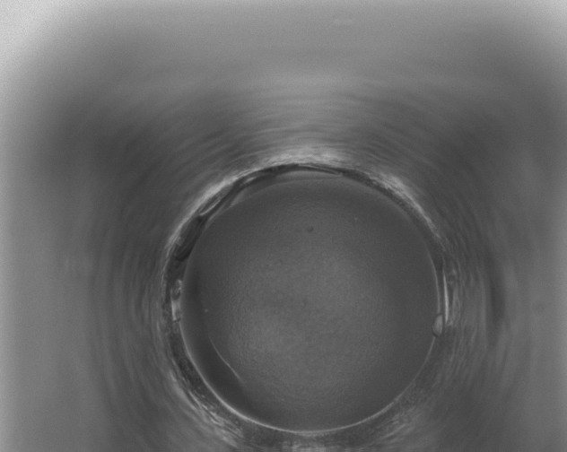 X0000064740531200602131318