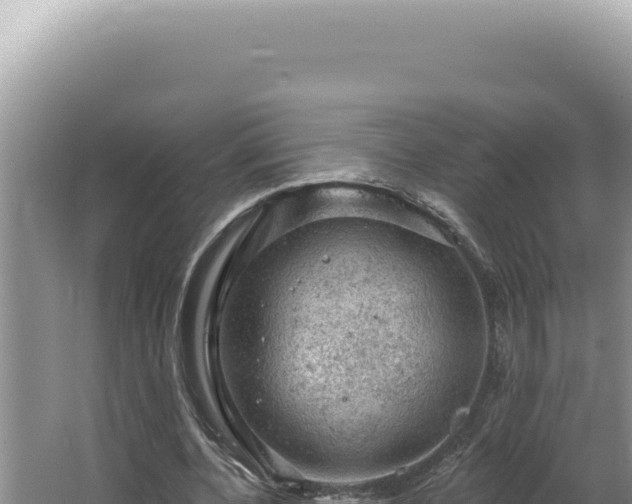 X0000064740532200602131318