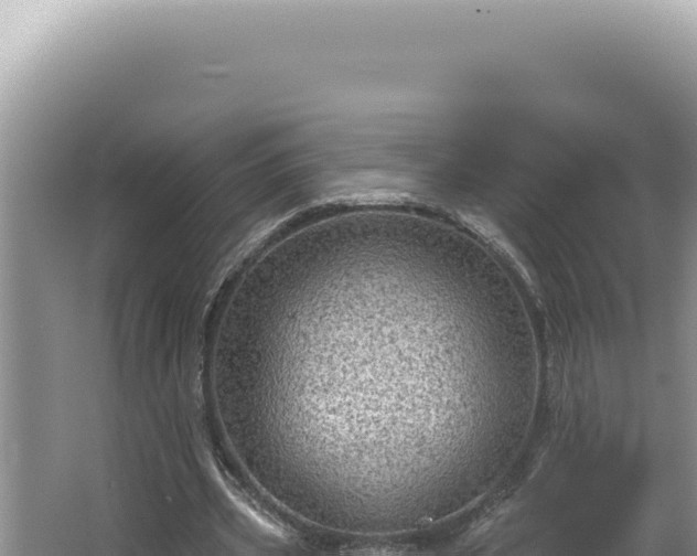 X0000064740533200602131318