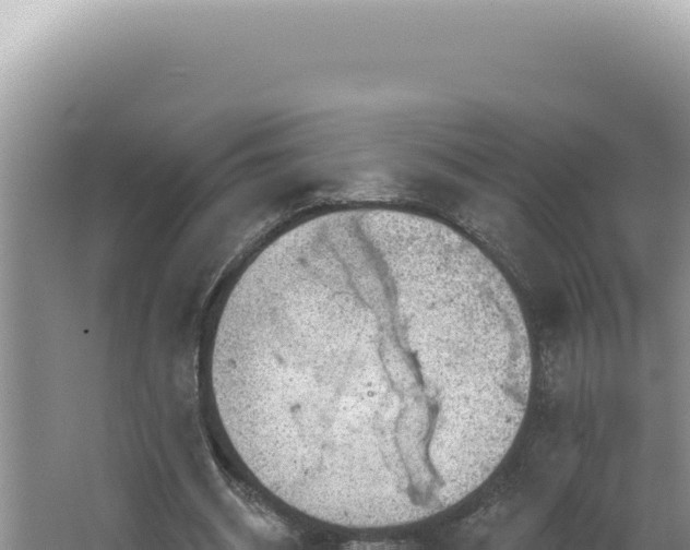 X0000064740534200602131318