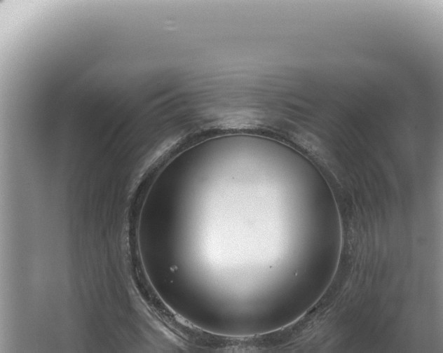 X0000064740535200602131318