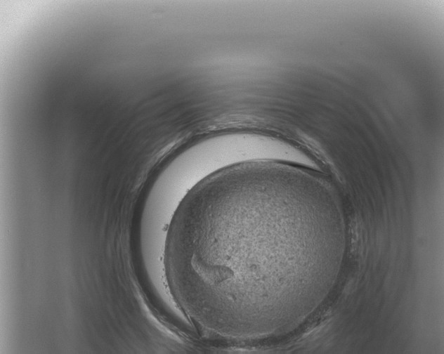 X0000064740538200602131318