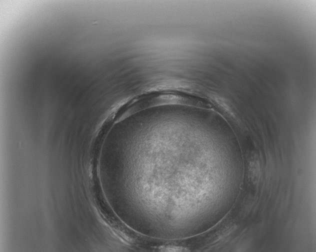 X0000064740539200602131318