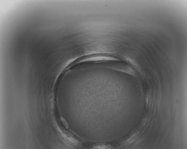 X0000064740540200602131319