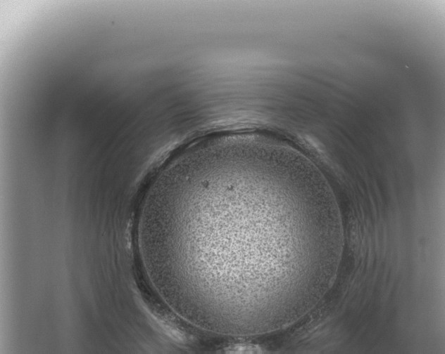 X0000064740543200602131319