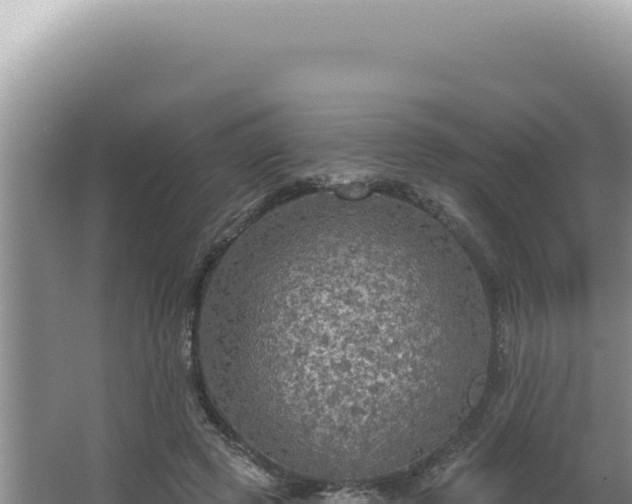 X0000064740545200602131319