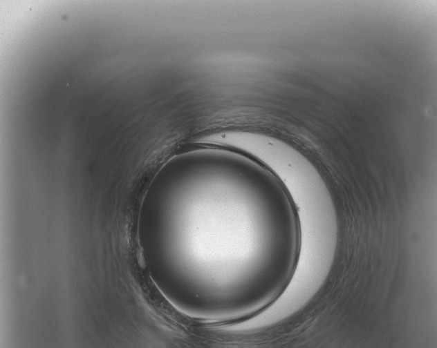 X0000064740546200602131319