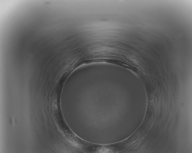 X0000064740547200602131319