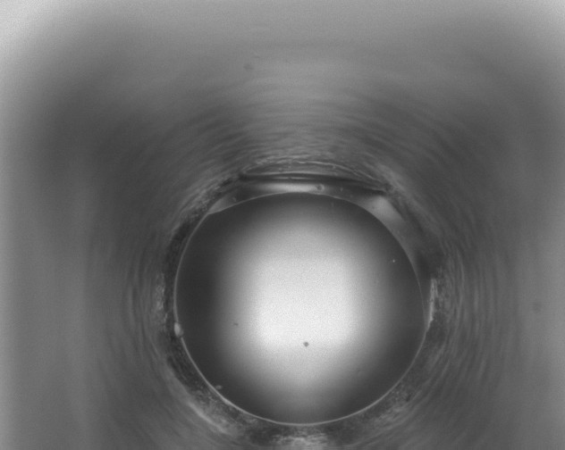 X0000064740548200602131319