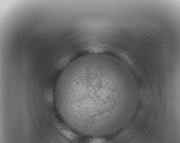 X0000064740549200602131319