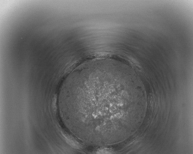 X0000064740550200602131319