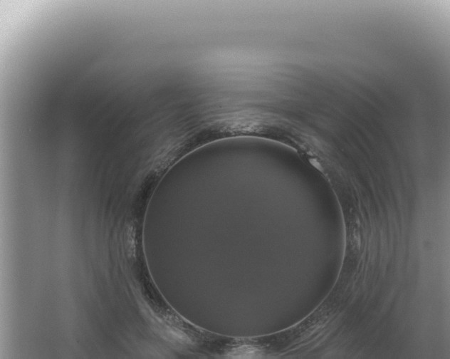 X0000064740551200602131319