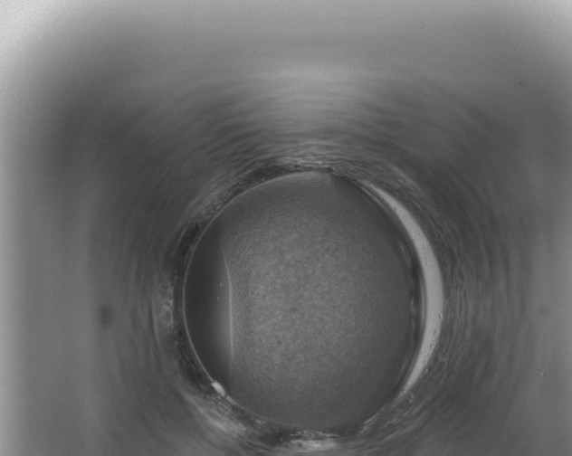 X0000064740552200602131319