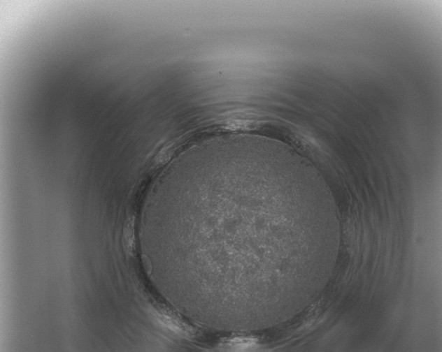 X0000064740554200602131319