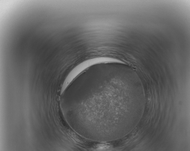 X0000064740555200602131319