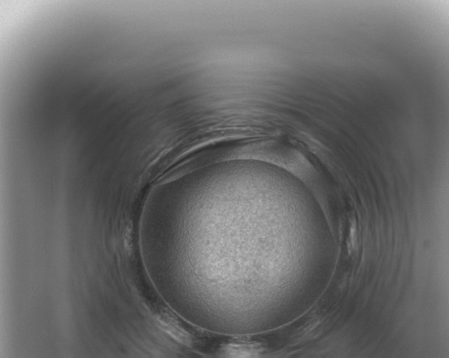 X0000064740556200602131319