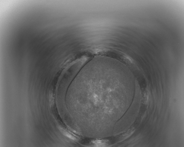 X0000064740558200602131319