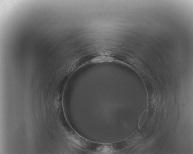 X0000064740559200602131319