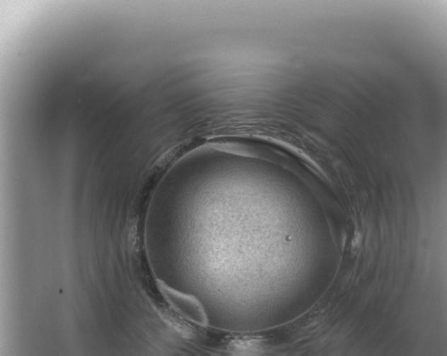 X0000064740560200602131319