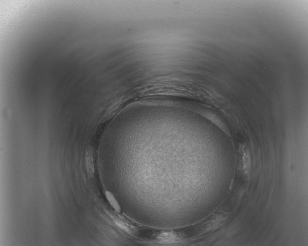 X0000064740562200602131319