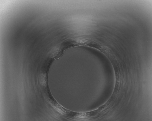 X0000064740563200602131319