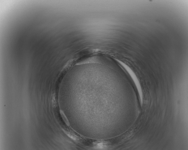 X0000064740564200602131319