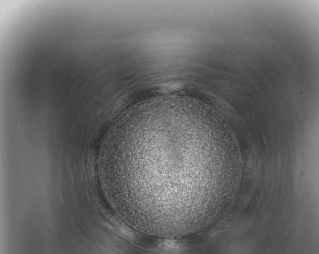 X0000064740565200602131319