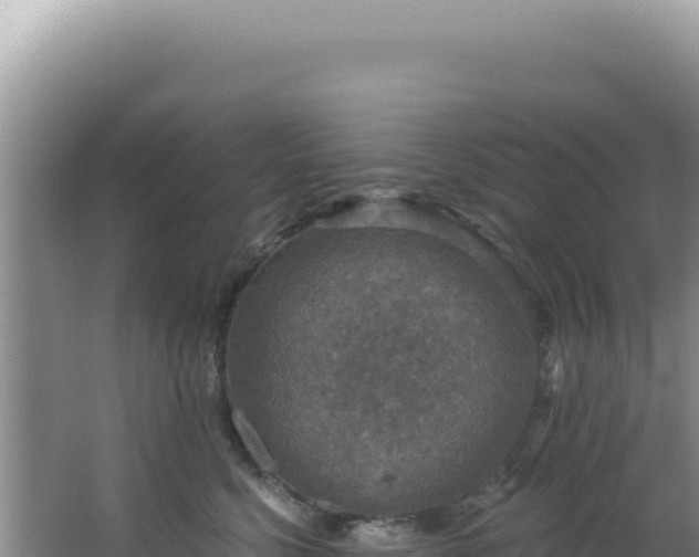 X0000064740568200602131319