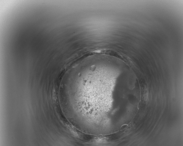 X0000064740569200602131319