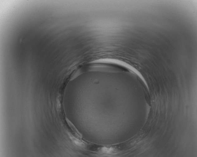 X0000064740570200602131319