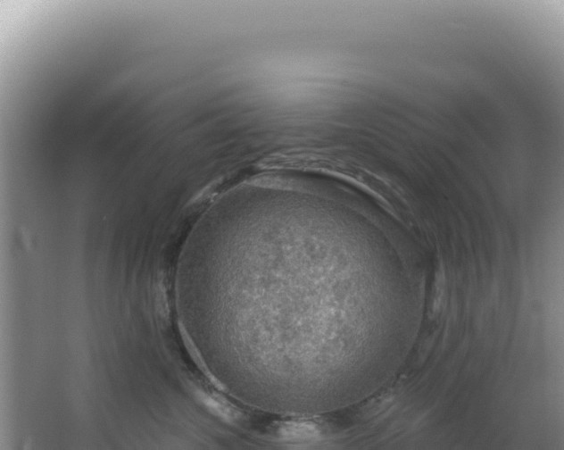 X0000064740572200602131319