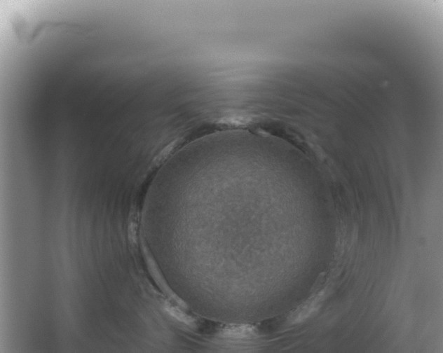 X0000064740576200602131319