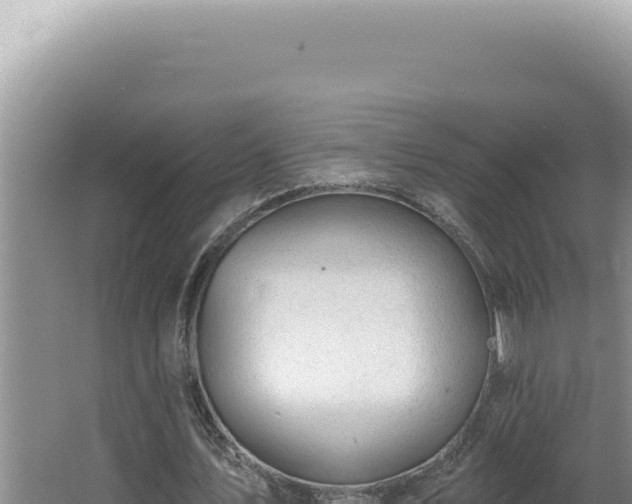 X0000064740579200602131318