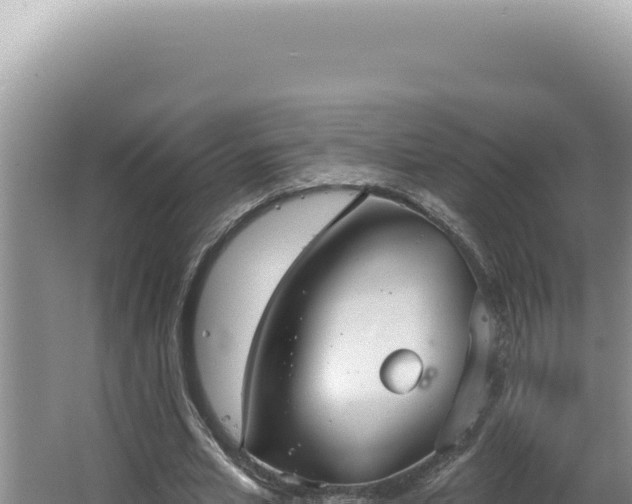 X0000064740581200602131318