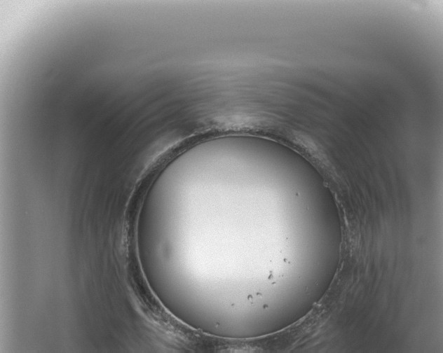 X0000064740583200602131318