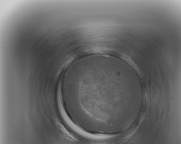 X0000064740585200602131318