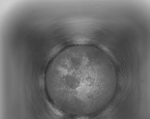 X0000064740586200602131318