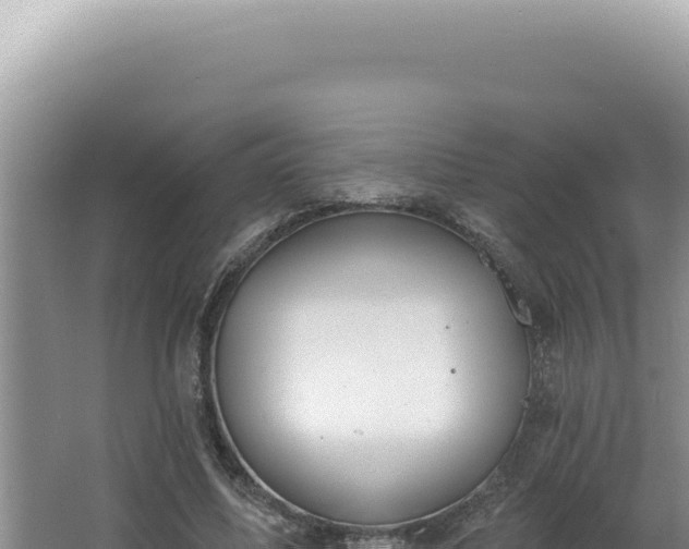 X0000064740587200602131318