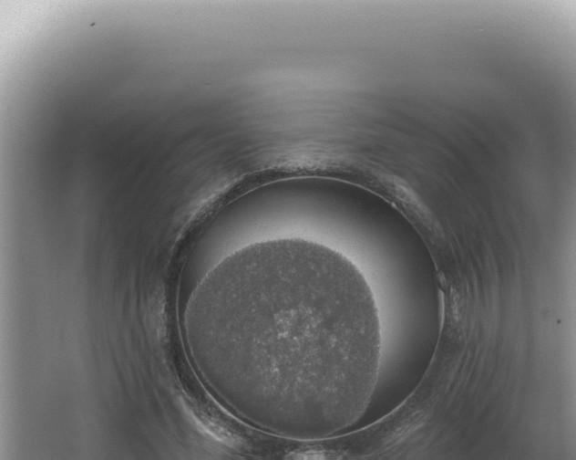 X0000064740588200602131318