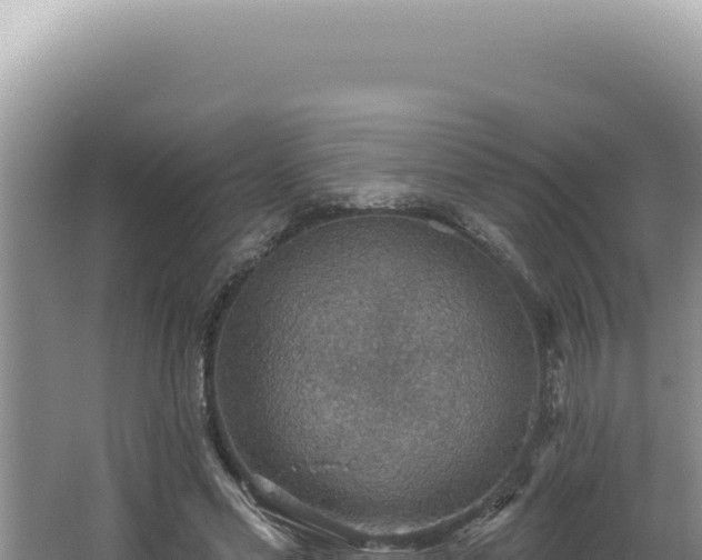 X0000064740589200602131318