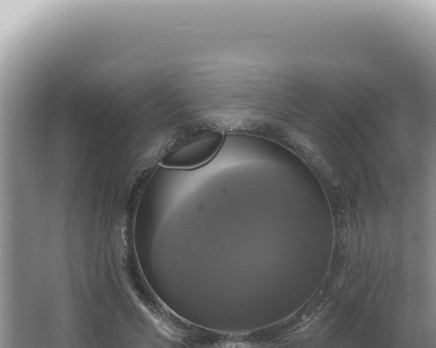 X0000064740590200602131318