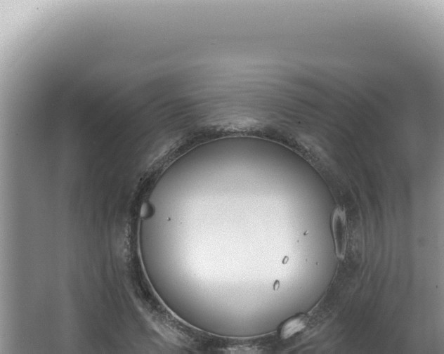 X0000064740591200602131318