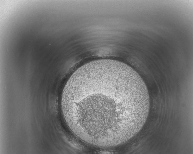 X0000064740592200602131318