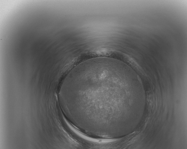 X0000064740593200602131318