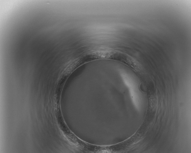 X0000064740594200602131318