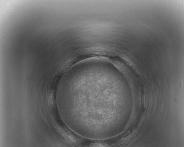 X0000064740597200602131318