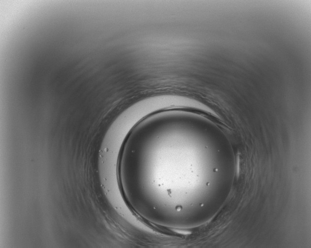 X0000064740599200602131318