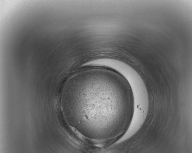 X0000064740601200602131318