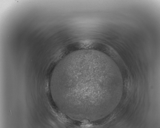 X0000064740602200602131318