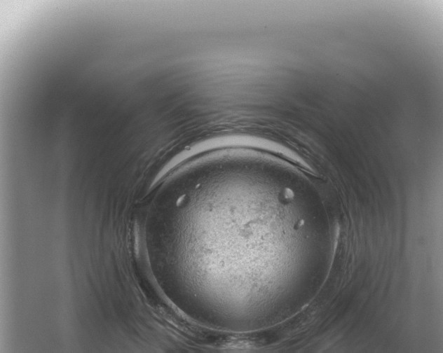 X0000064740604200602131318